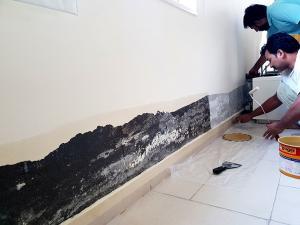 removing emulsion paint from plaster walls